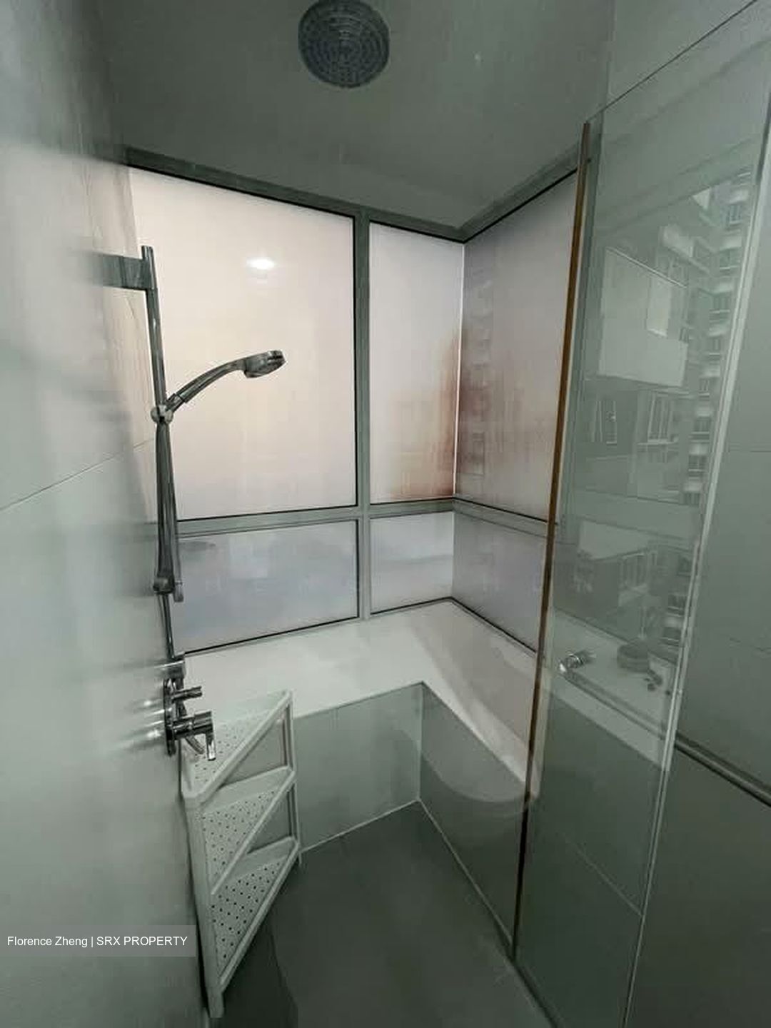 The Regency At Tiong Bahru (D3), Condominium #583635911